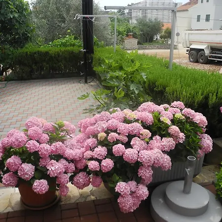 Appartement Martina *