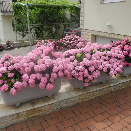 Appartement Martina Zablaće