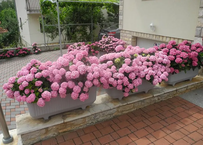 公寓 Martina Zablaće